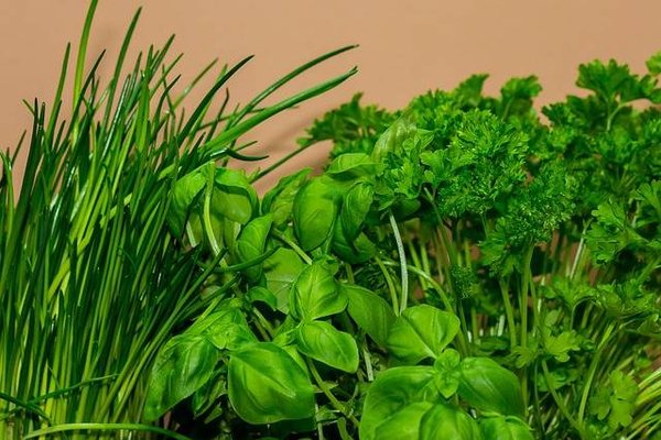 Les avantages et les inconvénients du jardinage dans la cuisine